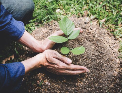 Climate Change Adaptation Workshops