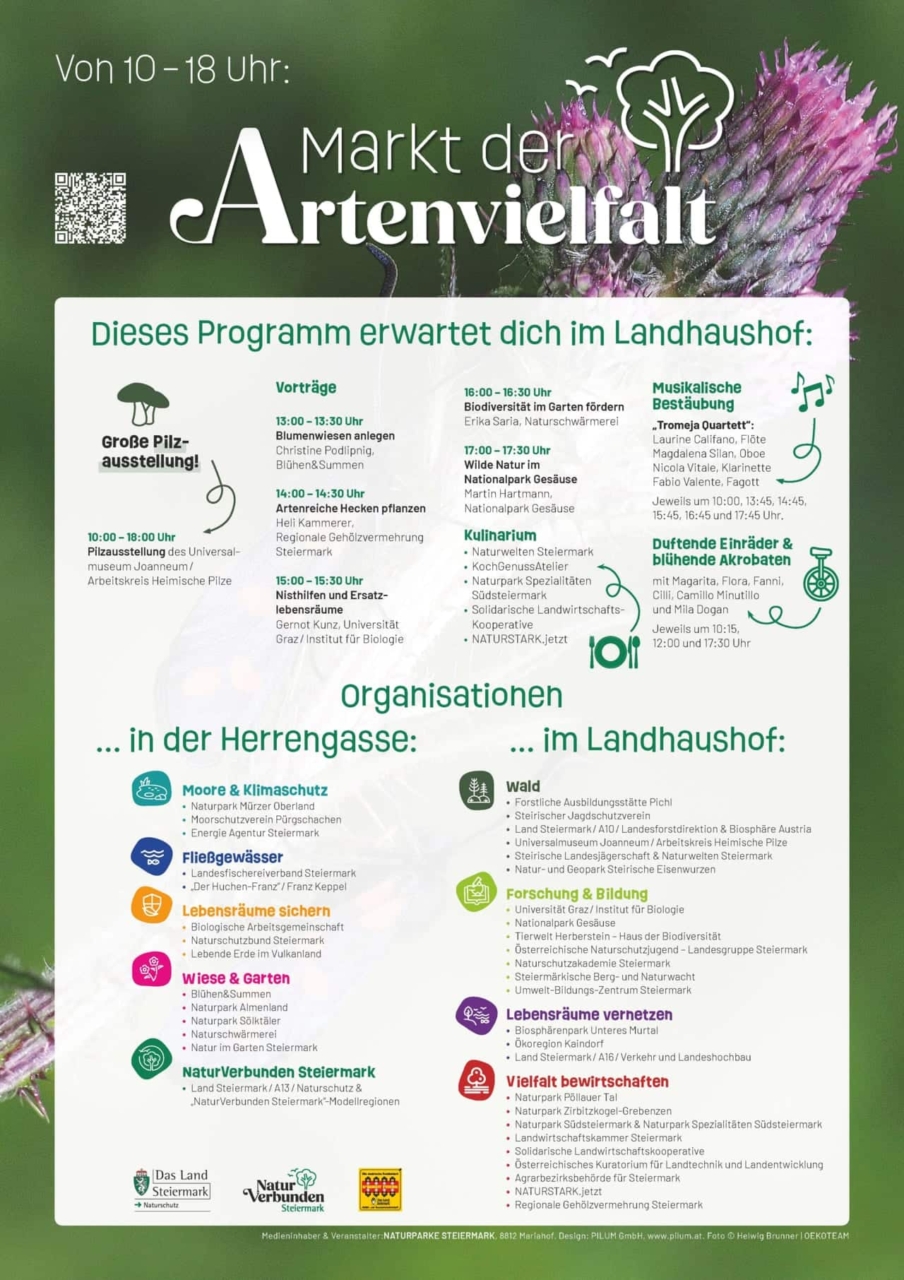 MdA_Plakat_Programm