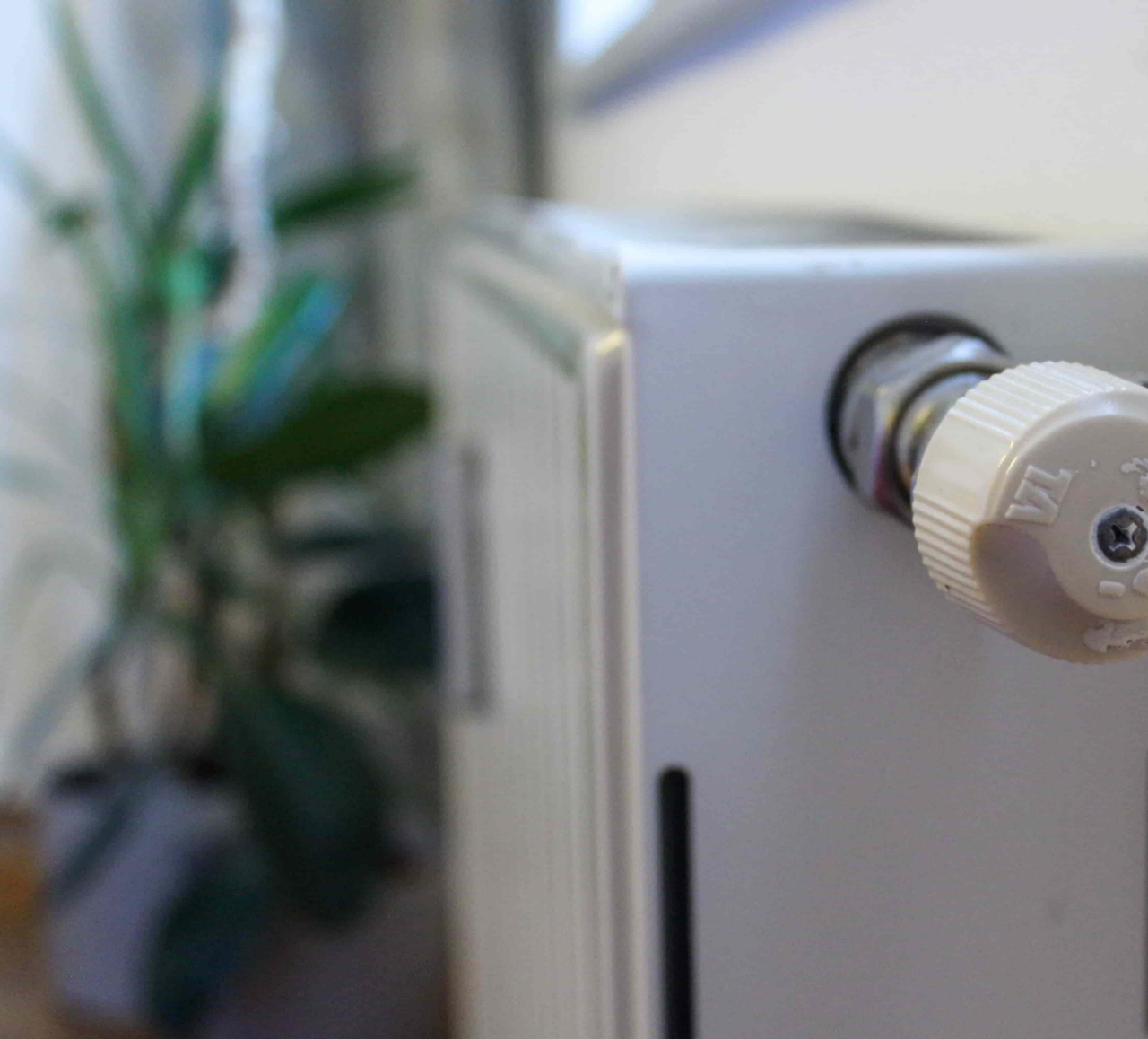 Heizkörper abgebildet von der Seite, im Hintergrund zu sehen sind Wohnungspflanzen