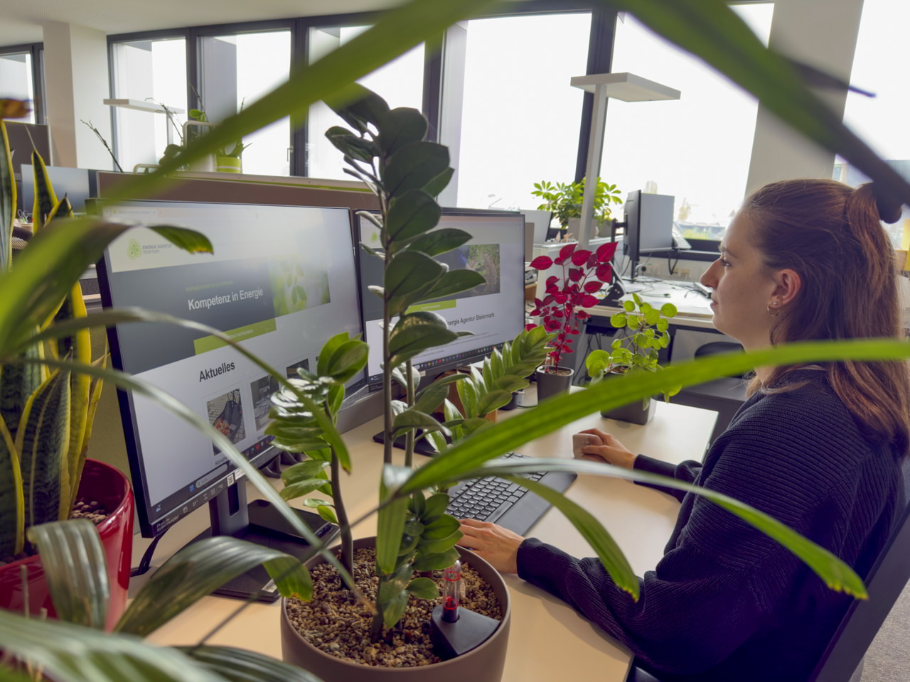 Frau sitz am Schreibtisch umringt von Pflanzen